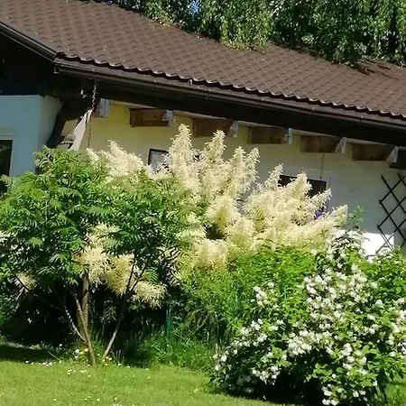 Secret Garden House In The Center Of *